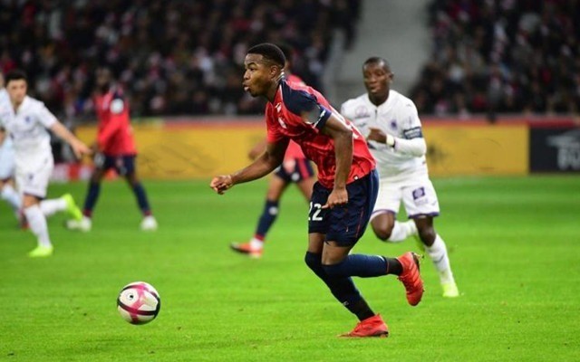 12篮板和 12篮板和